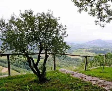 Kaxkarre